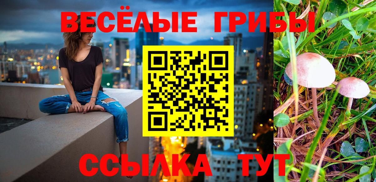 Псилоцибиновые грибы мухоморы Новочеркасск