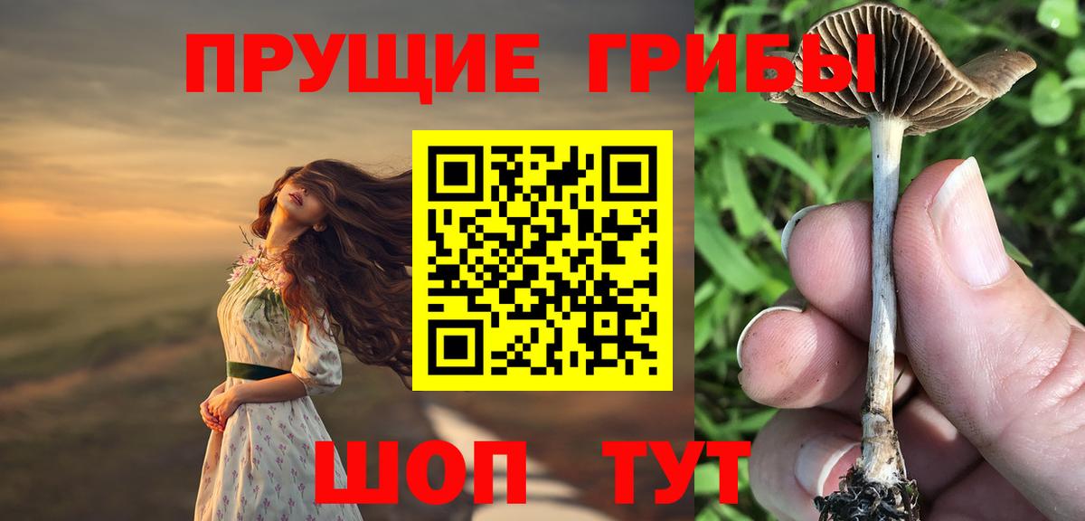Галлюциногенные грибы Psilocybine cubensis  Вход с VPN  Новочеркасск  Галлюциногенные грибы Psilocybe 